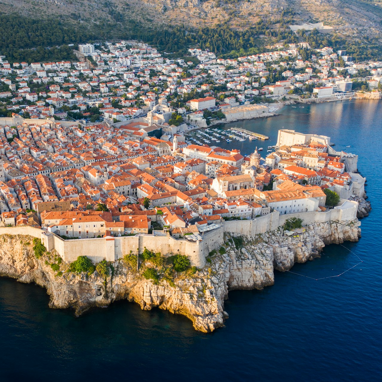 aerial view of city buildings near body of water during daytime