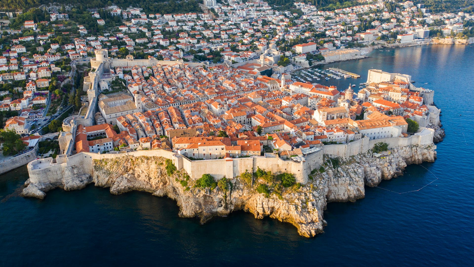 aerial view of city buildings near body of water during daytime
